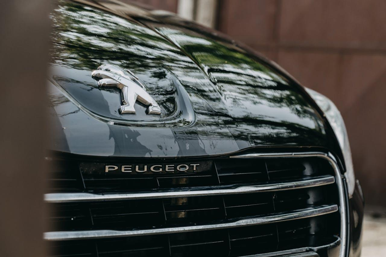 Les causes et solutions des bruits moteur sur Peugeot 307